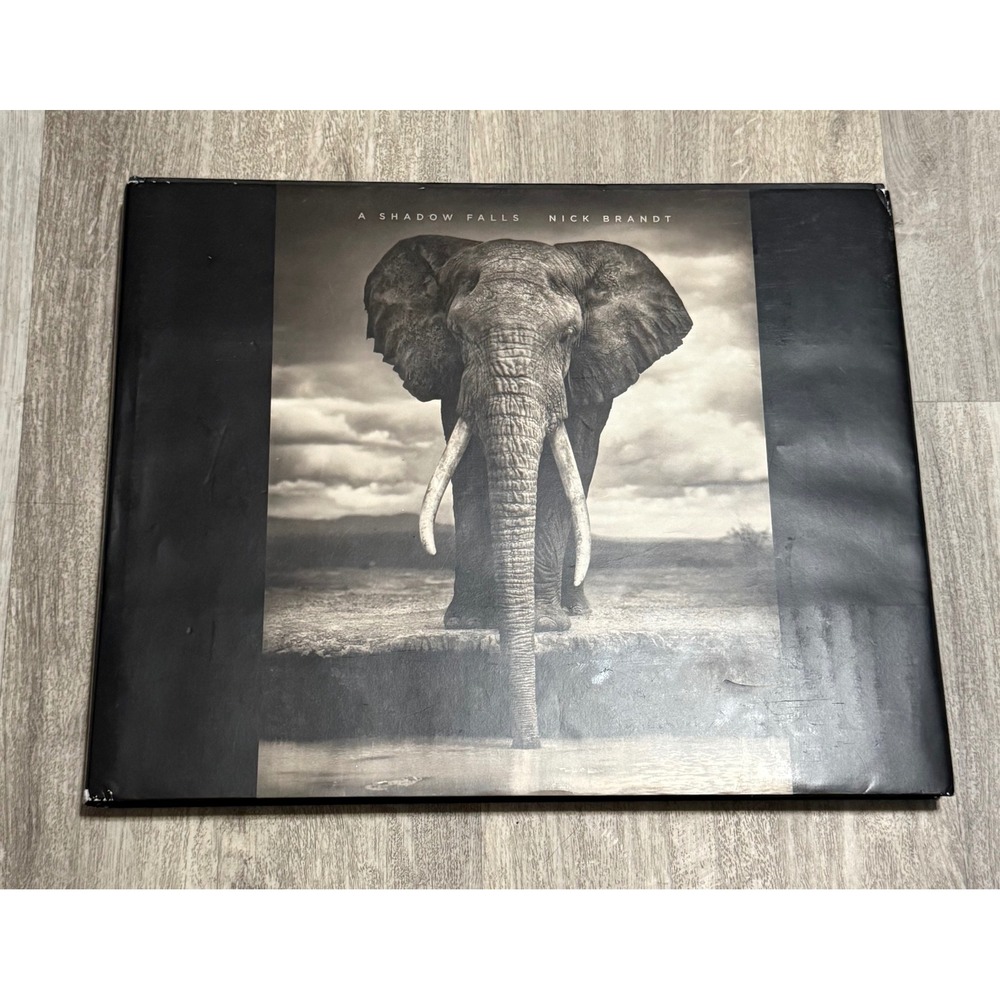 A Shadow Falls Nick Brandt Photography Book Elephant Leopard Rhinos Wildlife